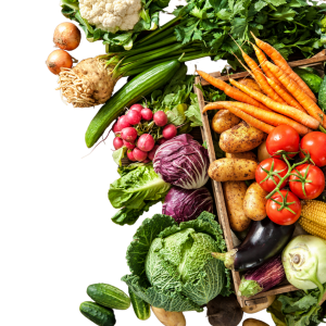 sayuran nadhira fresh jambi